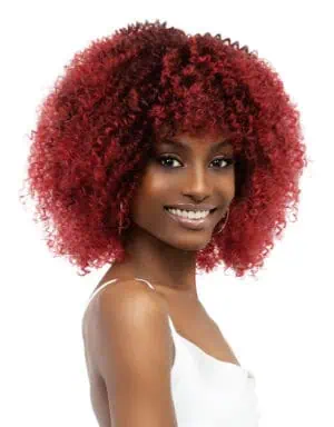 Janet Natural Curly Natural Afro Leon Wig